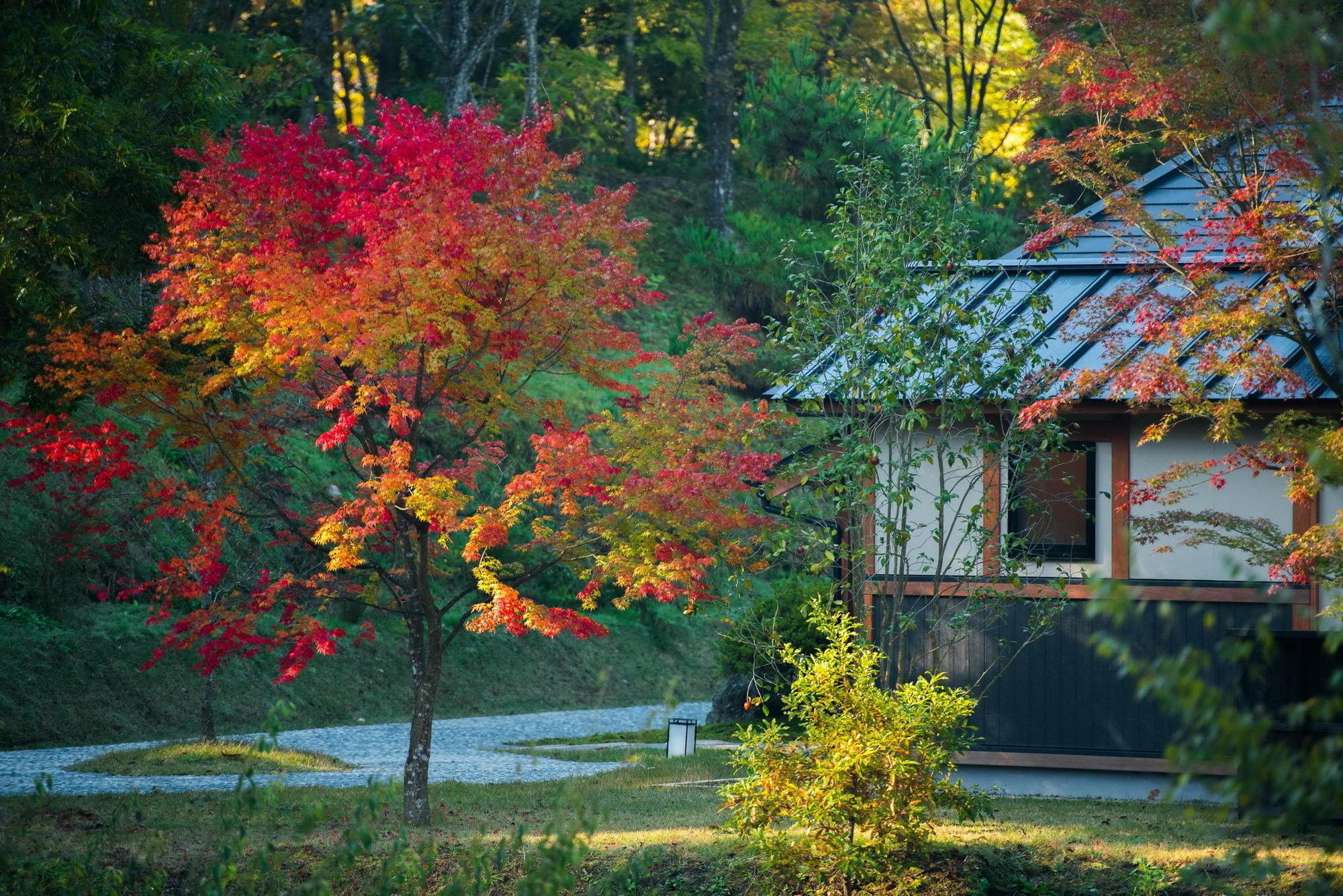 Miyama Sansou Hotel Minamioguni Exterior photo